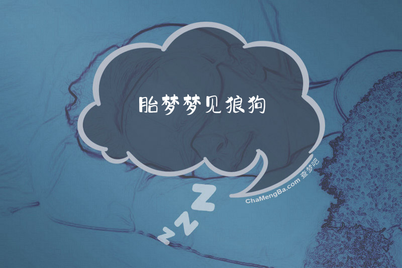 胎梦梦见狼狗