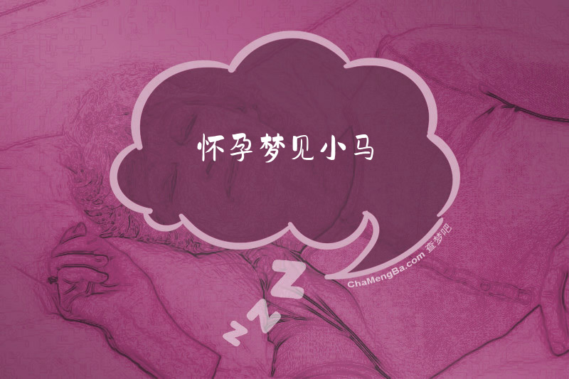 怀孕梦见小马