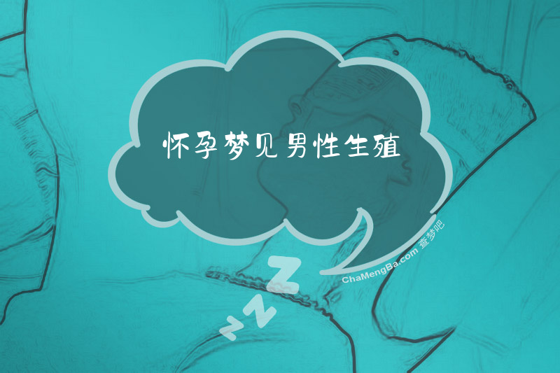 怀孕梦见男性生殖