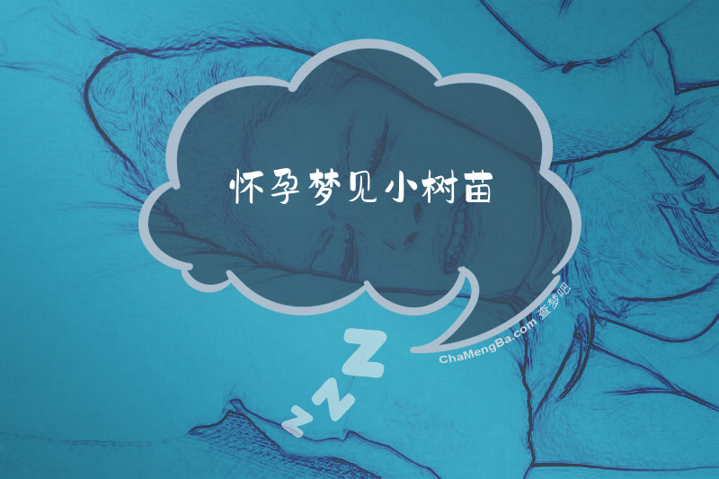 怀孕梦见小树苗