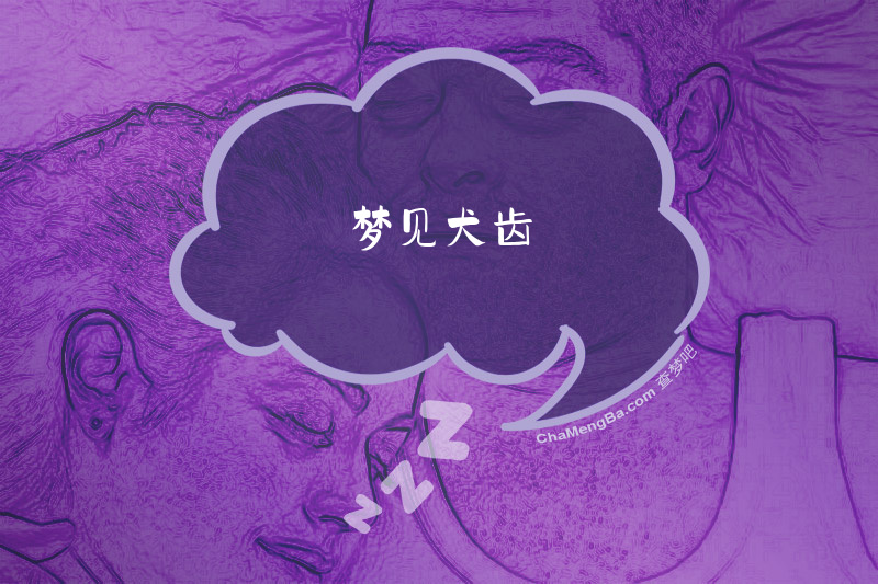 梦见犬齿