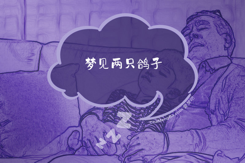梦见两只鸽子