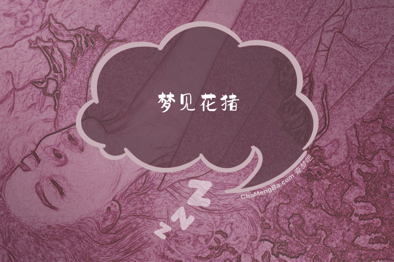 梦见花猪