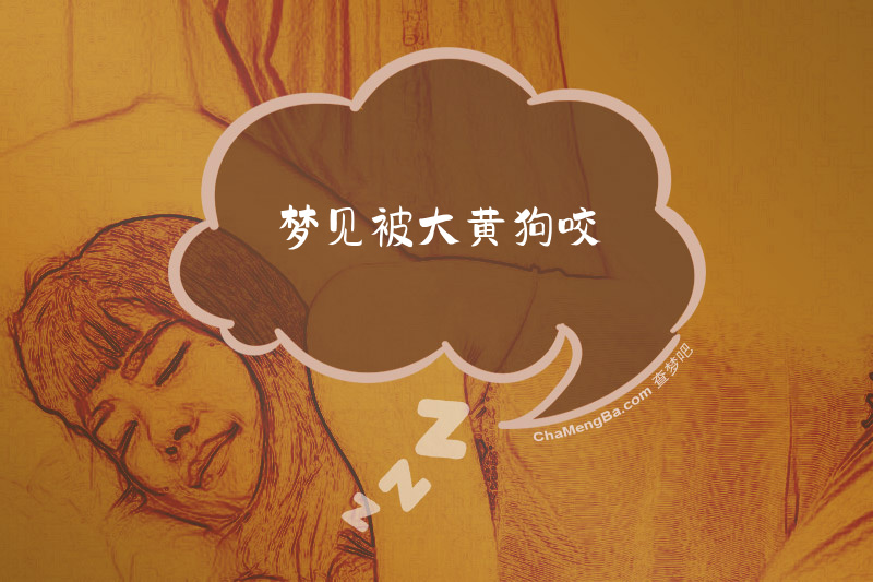 梦见被大黄狗咬