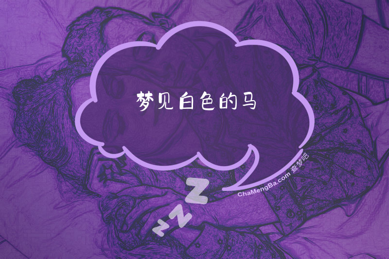 梦见白色的马