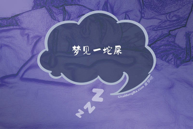 梦见一坨屎