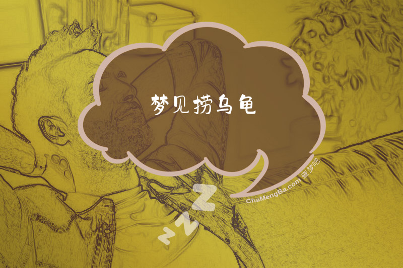 梦见捞乌龟