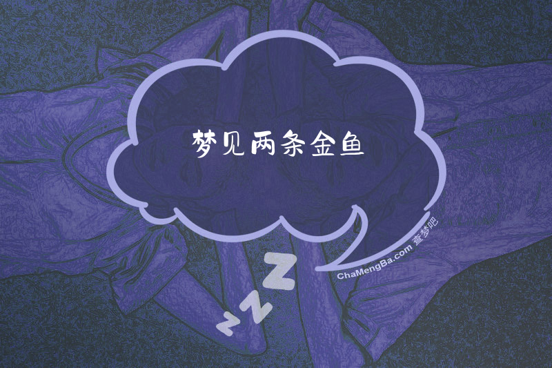 梦见两条金鱼