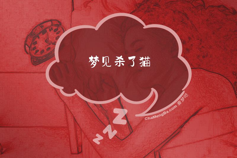 梦见杀了猫