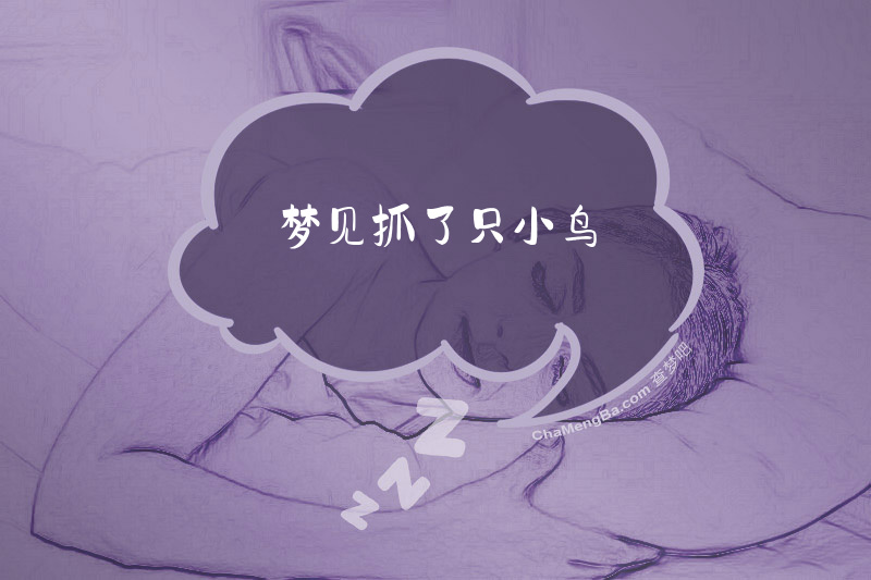 梦见抓了只小鸟