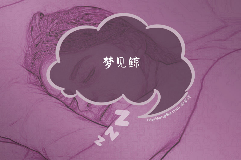 梦见鲸