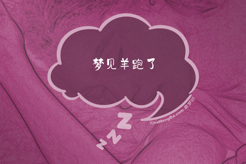 梦见羊跑了