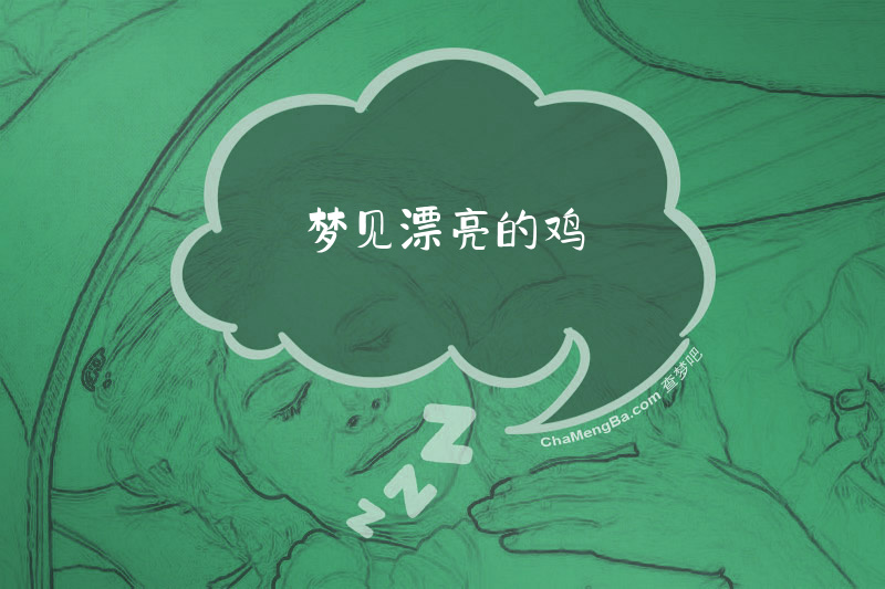梦见漂亮的鸡