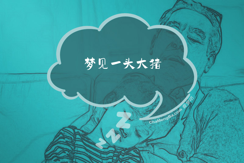 梦见一头大猪