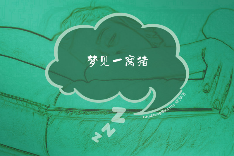 梦见一窝猪