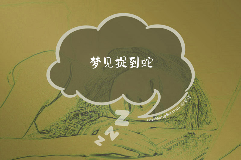 梦见捉到蛇