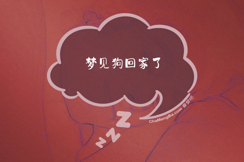 梦见狗回家了