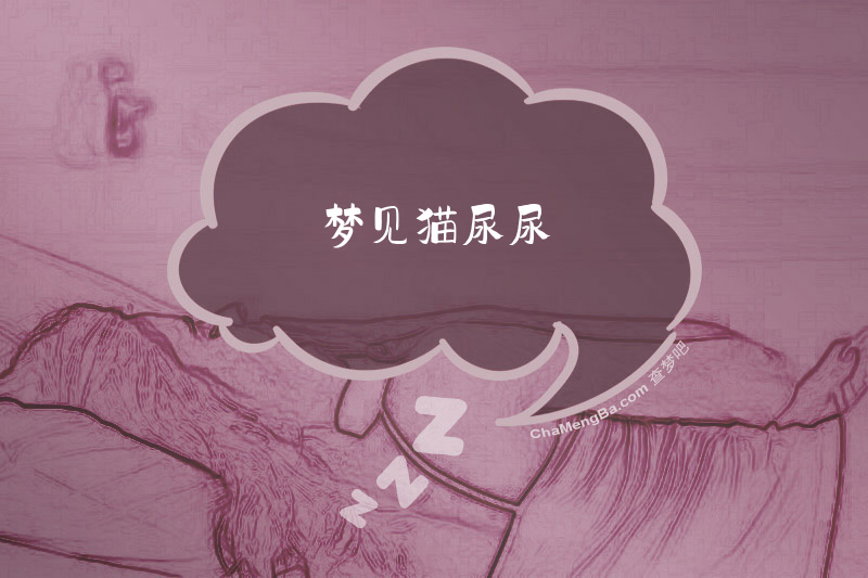 梦见猫尿尿