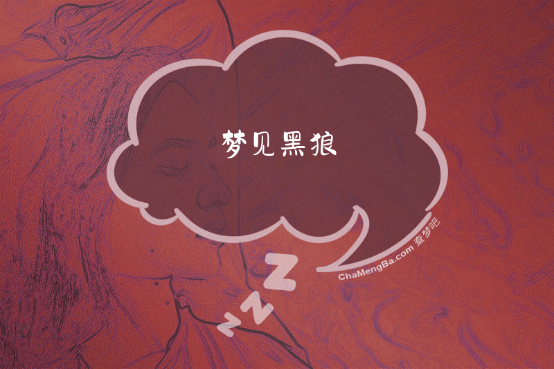 梦见黑狼