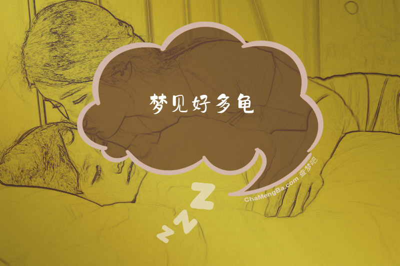 梦见好多龟