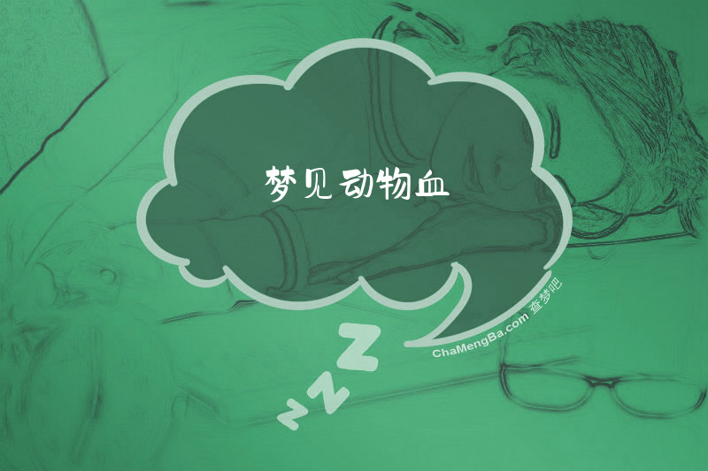 梦见动物血