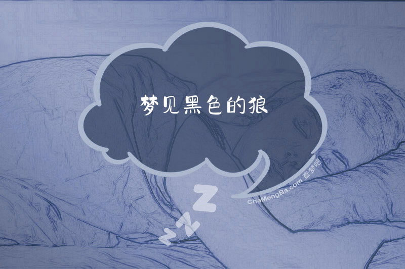 梦见黑色的狼