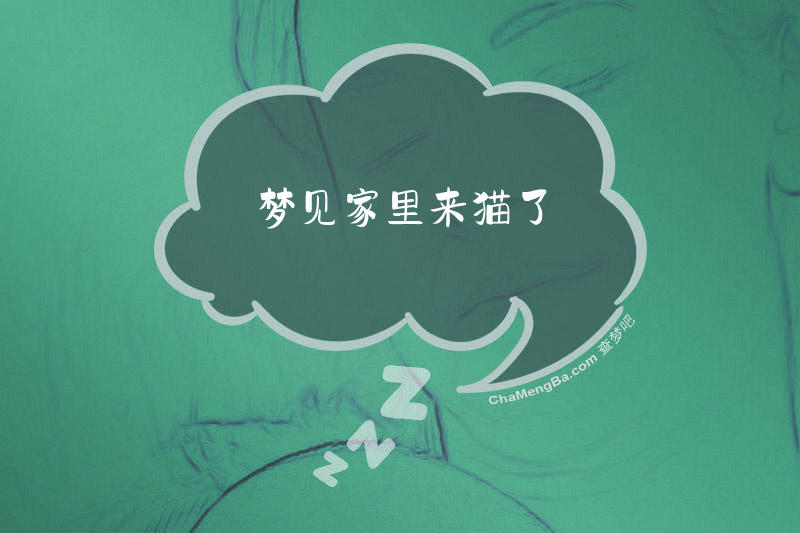 梦见家里来猫了