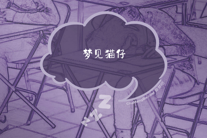 梦见猫仔