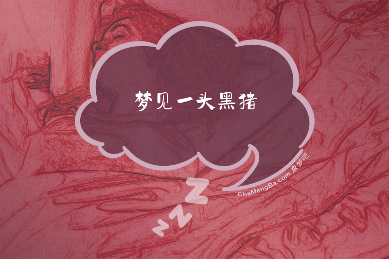 梦见一头黑猪