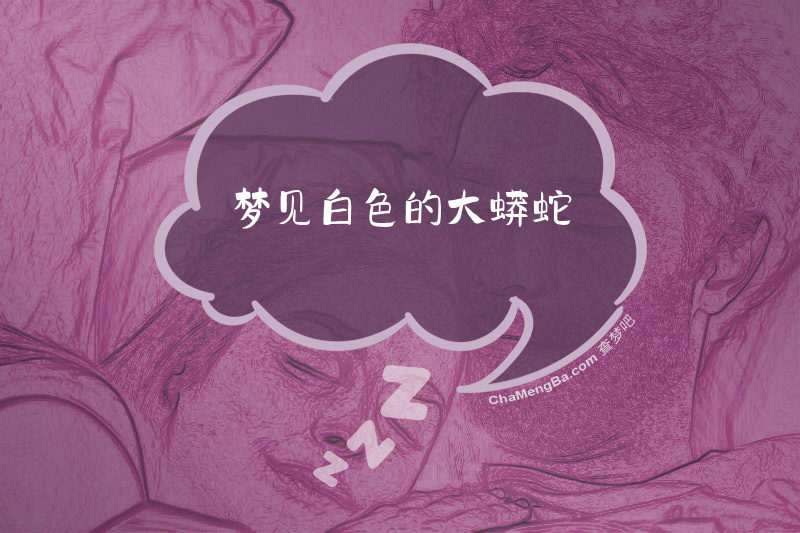 梦见白色的大蟒蛇