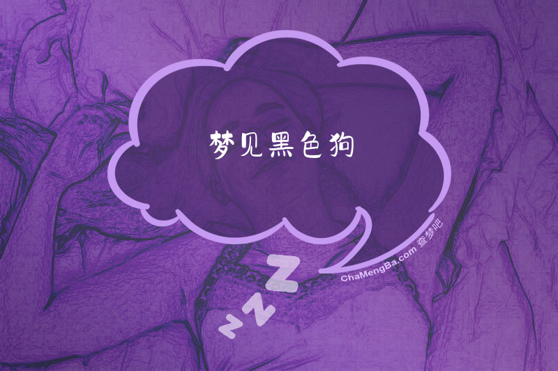 梦见黑色狗