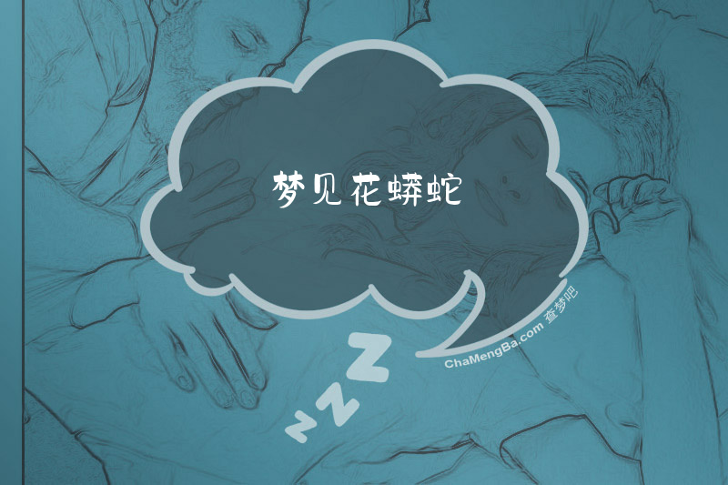 梦见花蟒蛇