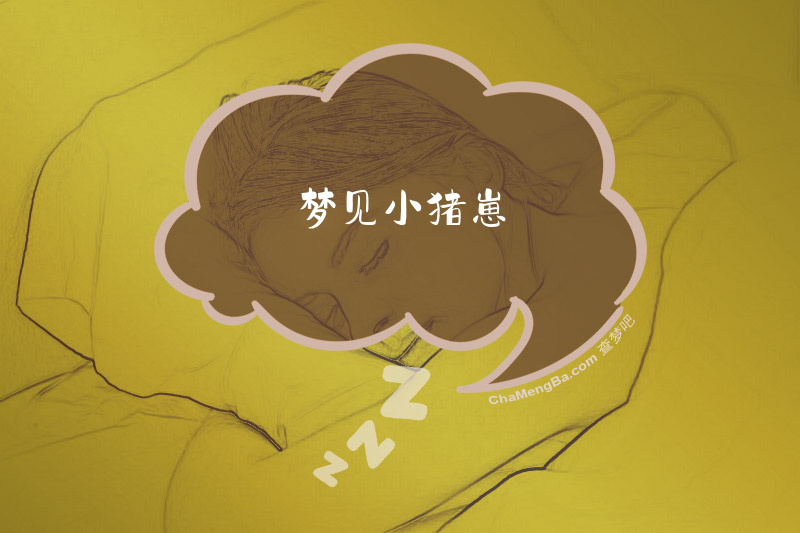 梦见小猪崽