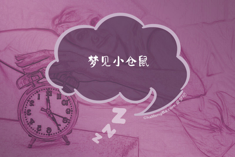 梦见小仓鼠