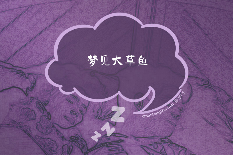 梦见大草鱼