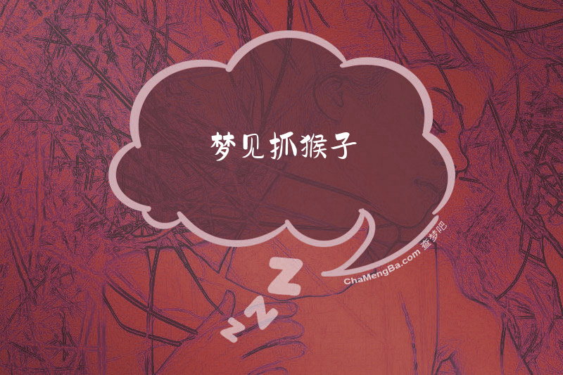 梦见抓猴子