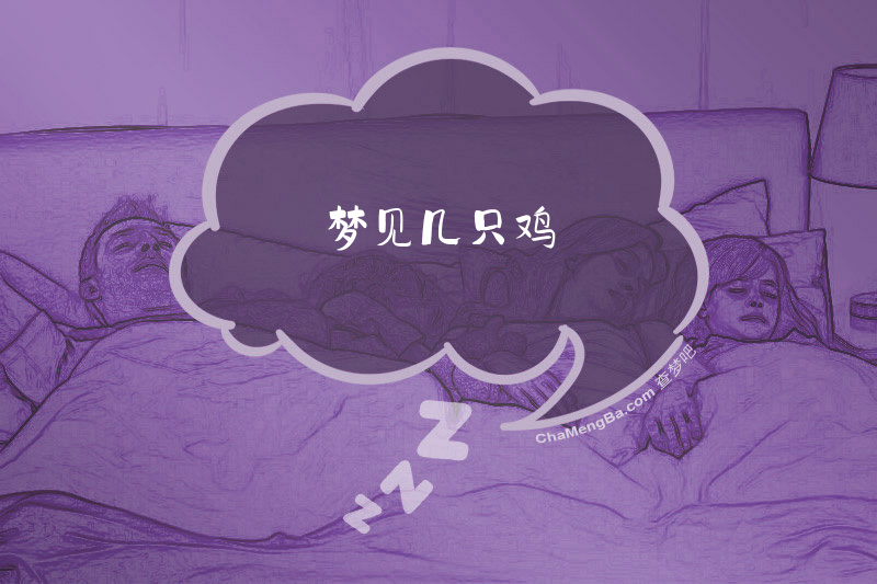梦见几只鸡