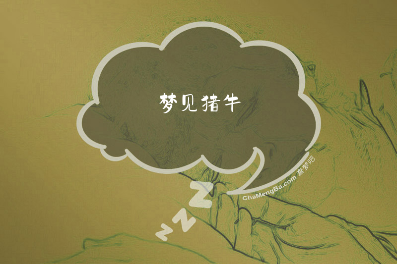 梦见猪牛