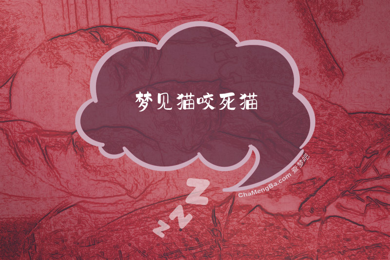 梦见猫咬死猫