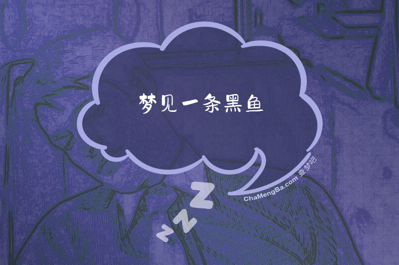 梦见一条黑鱼