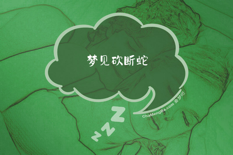 梦见砍断蛇