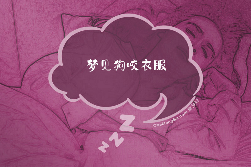 梦见狗咬衣服