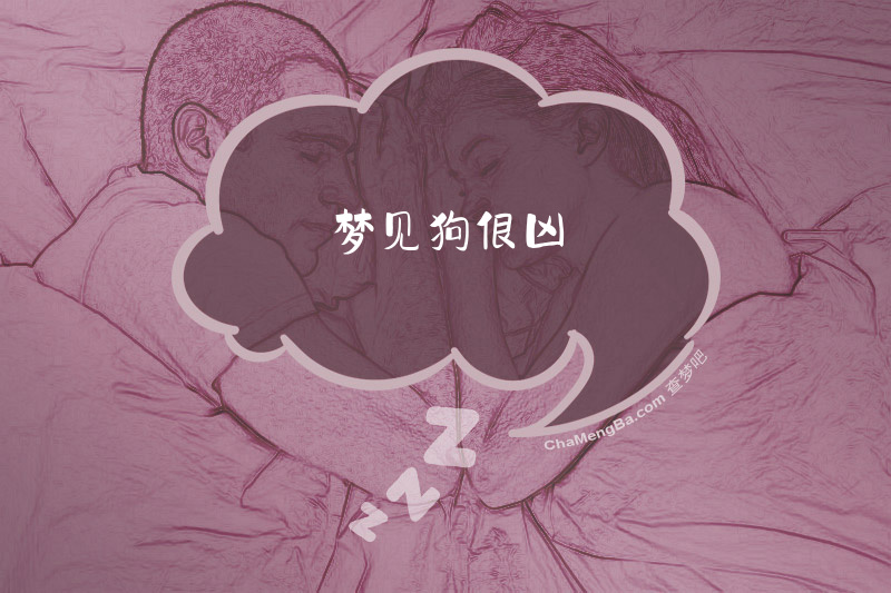梦见狗很凶