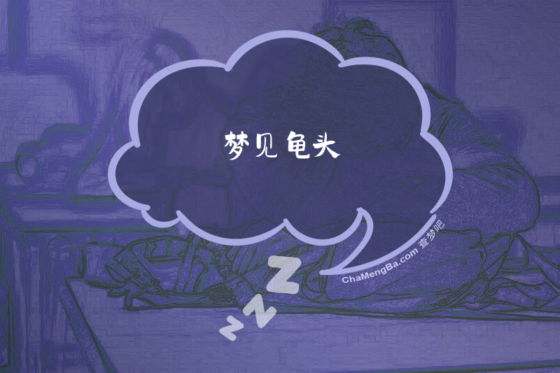 梦见龟头