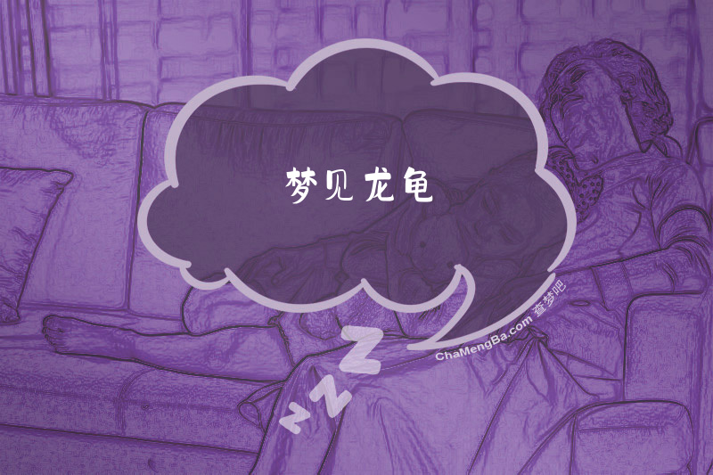 梦见龙龟