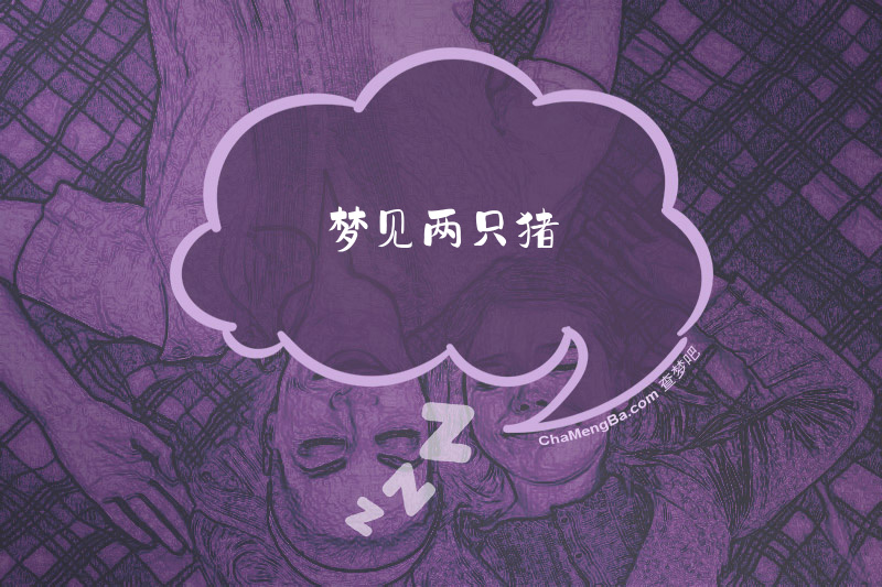 梦见两只猪