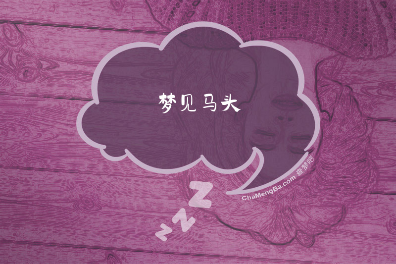 梦见马头