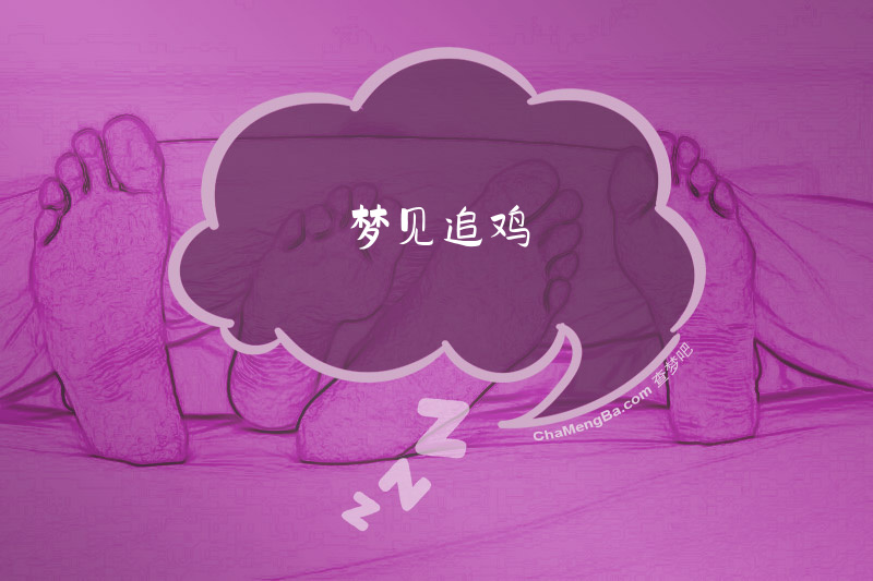 梦见追鸡
