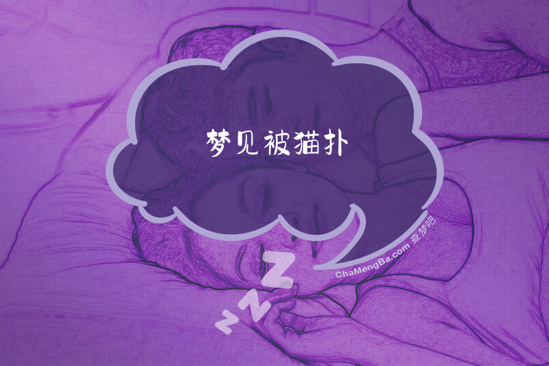 梦见被猫扑