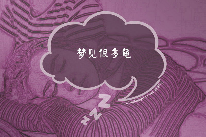梦见很多龟